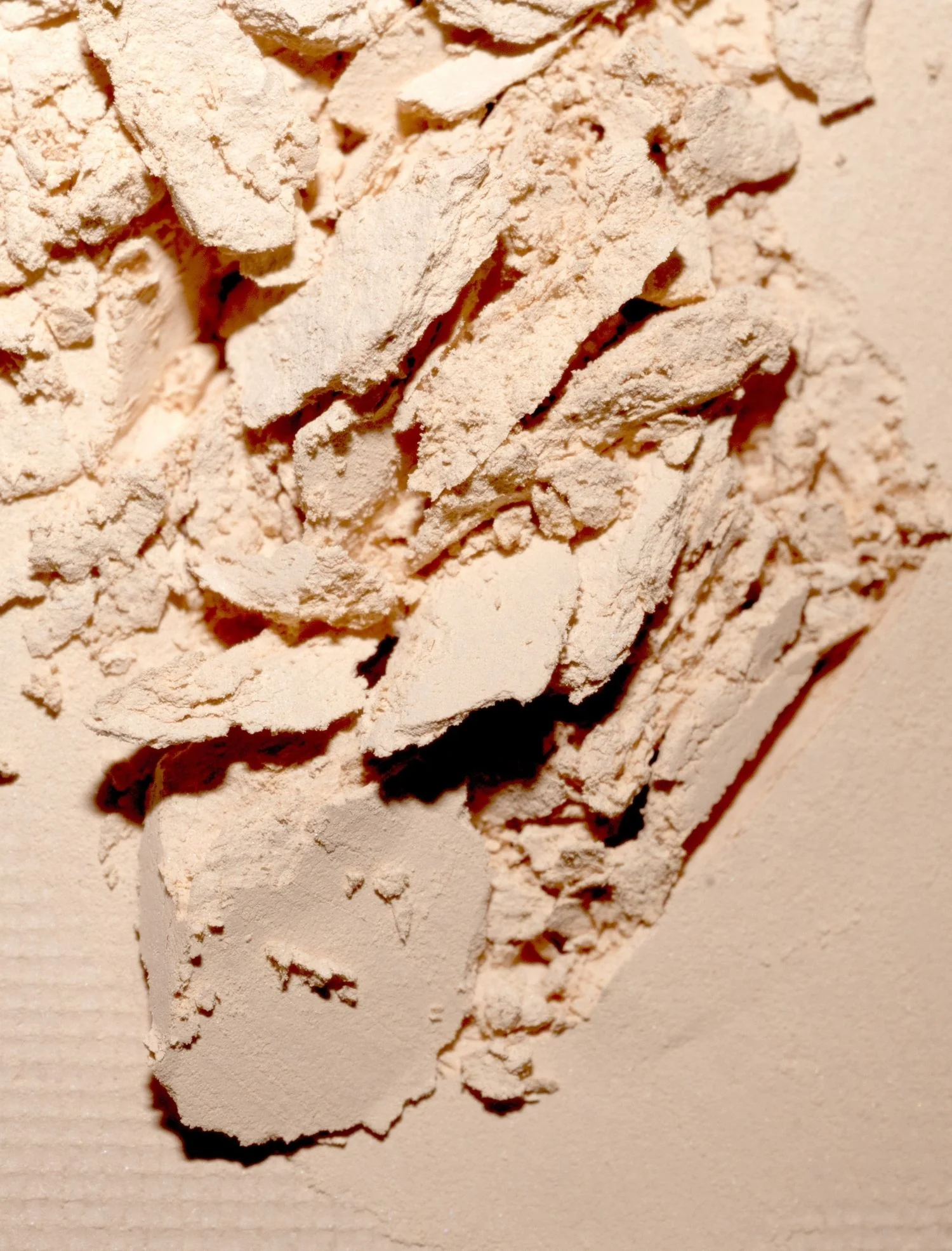 The single - Image 4