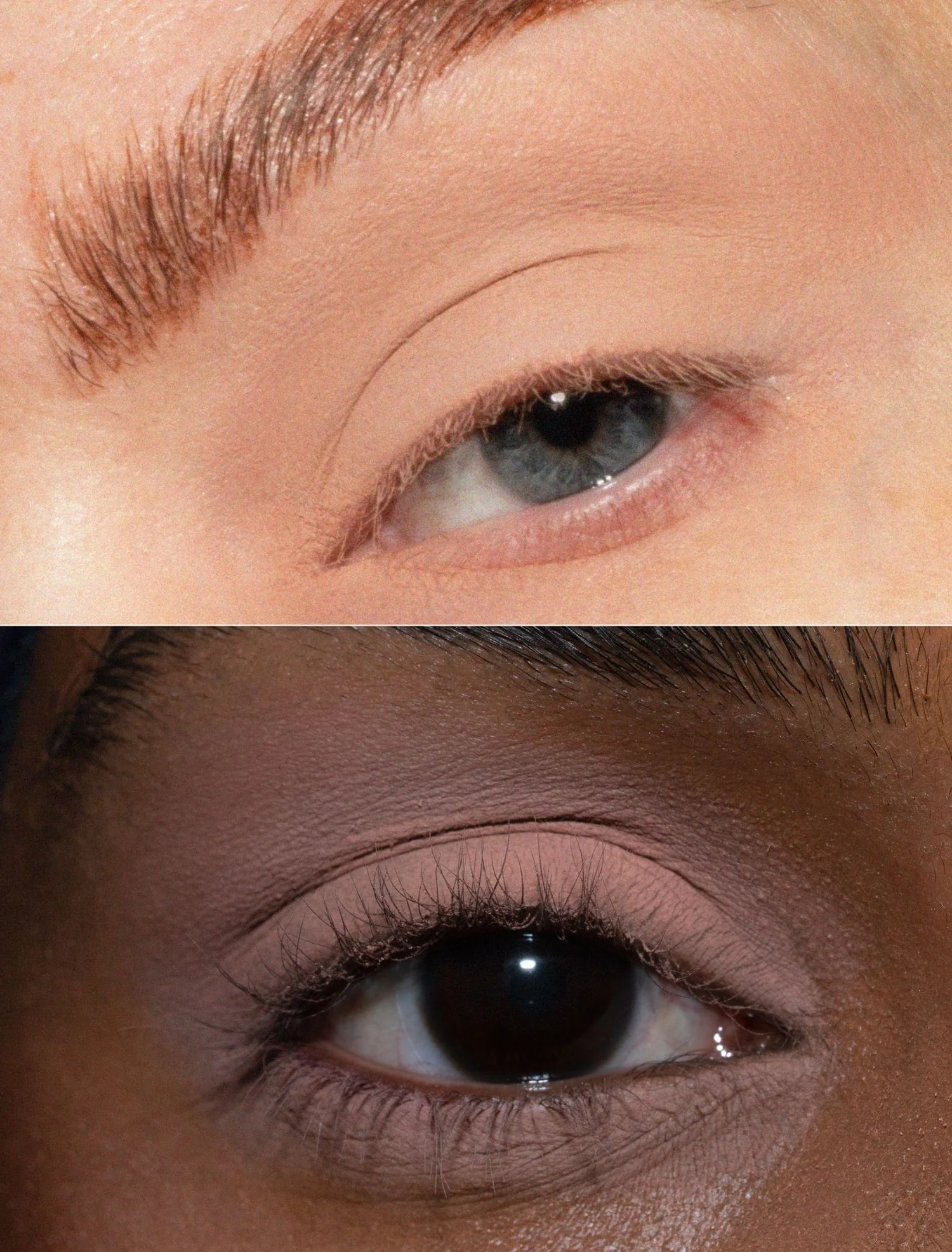 The single - Image 8