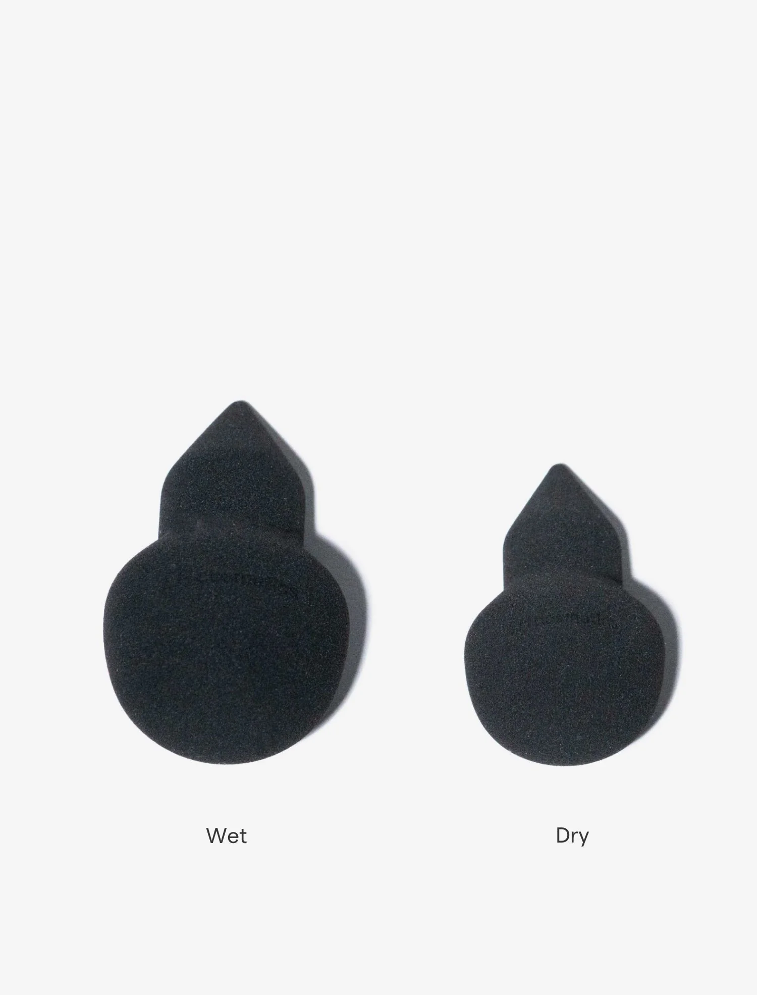 The sponge - Image 3