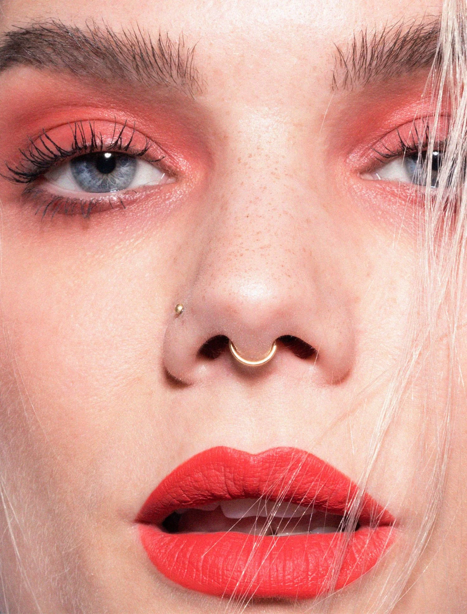 Velvet couture - Image 10