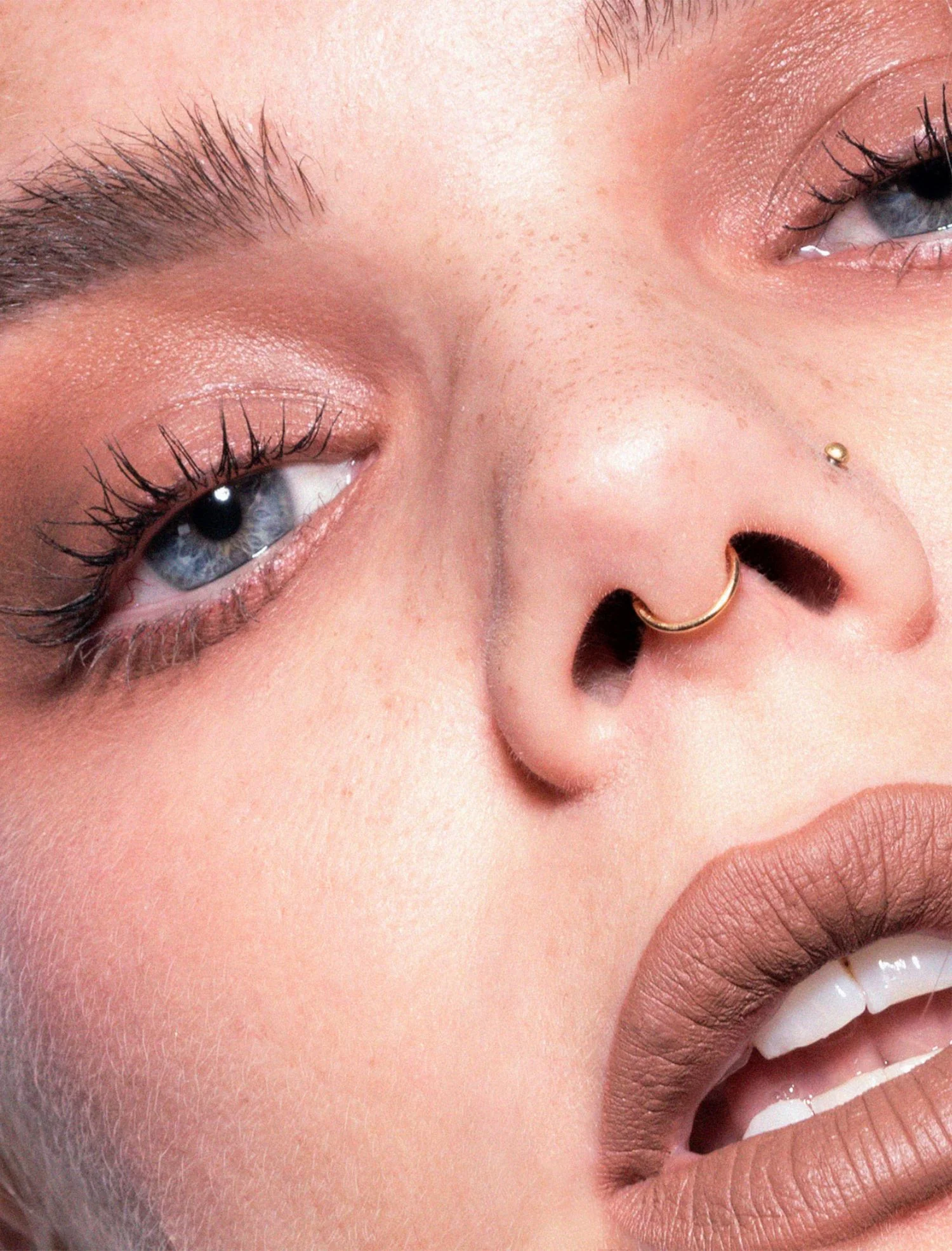 Velvet couture - Image 12