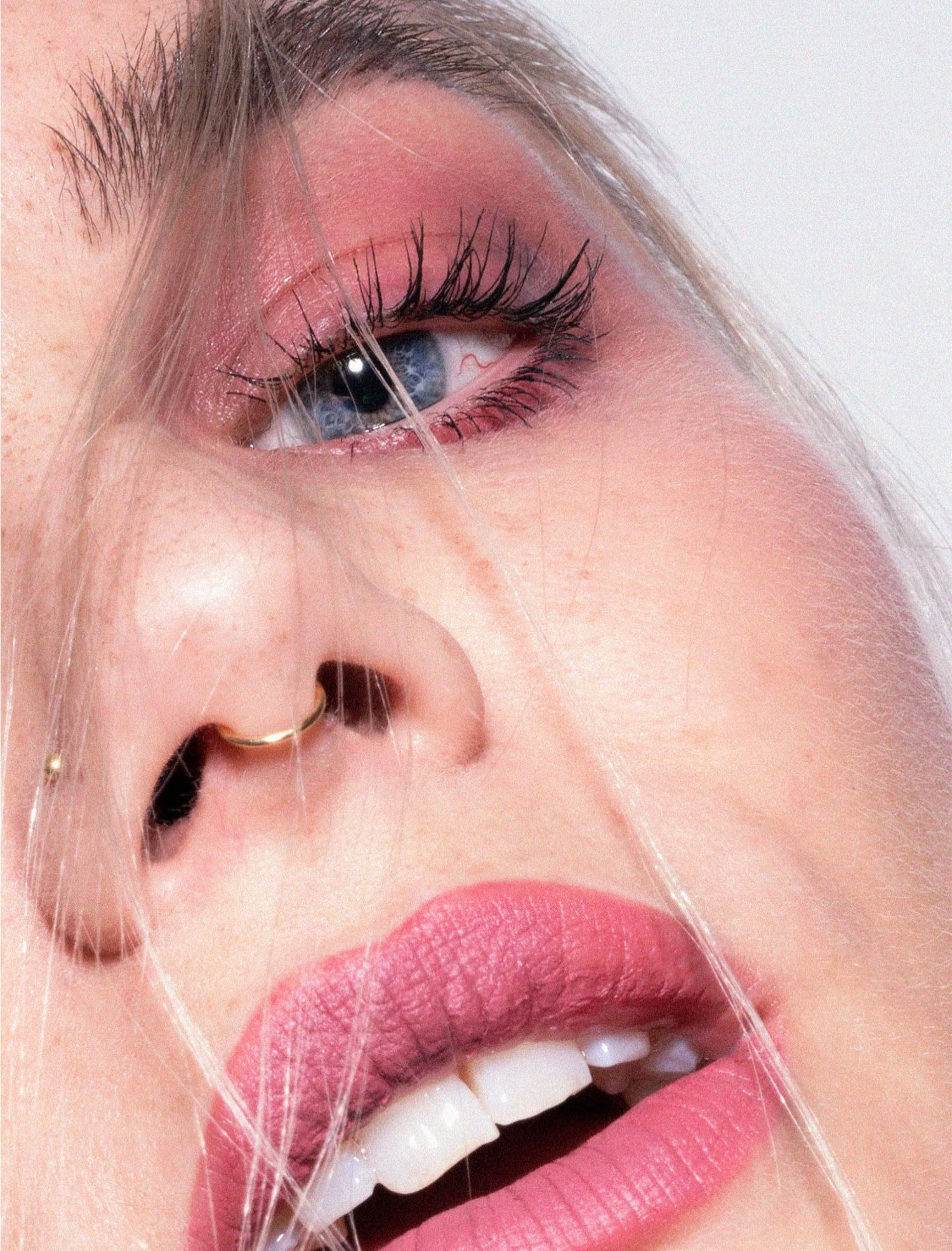 Velvet couture - Image 22